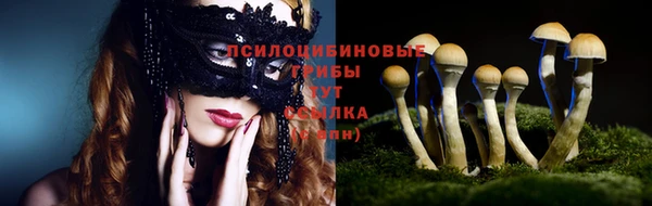 трава Гусев