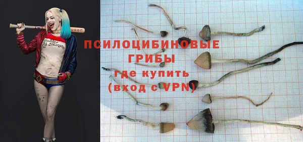 хмурый Вяземский