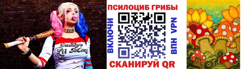 Галлюциногенные грибы MAGIC MUSHROOMS  закладка  Ельня 